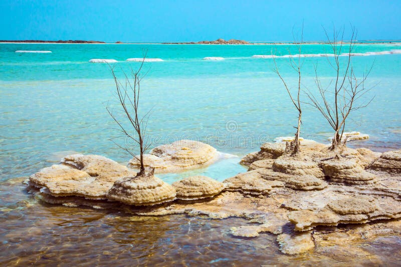 Bo evigt det döda havet arkivbild Bo evigt det döda havet arkivbild