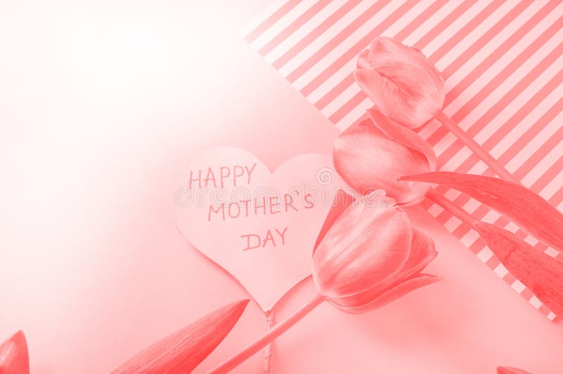 Bo korallf?rg av ?ret 2019 blommar hj?rta gjord form Valentine' s-dag abstrakt palett f?r bakgrundsf?rgdesign f?r?lskelsemod arkivbilder Bo korallf?rg av ?ret 2019 blommar hj?rta gjord form Valentine' s-dag abstrakt palett f?r bakgrundsf?rgdesign f?r?lskelsemod arkivbilder
