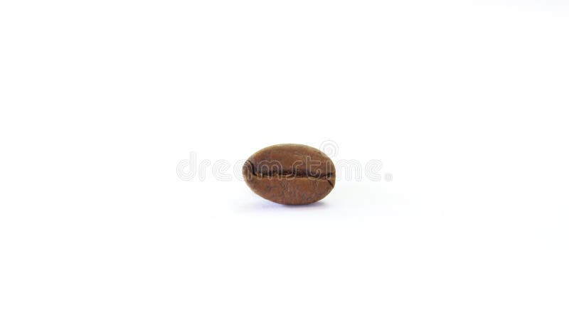 Boabe de cafea prăjită vector illustration
