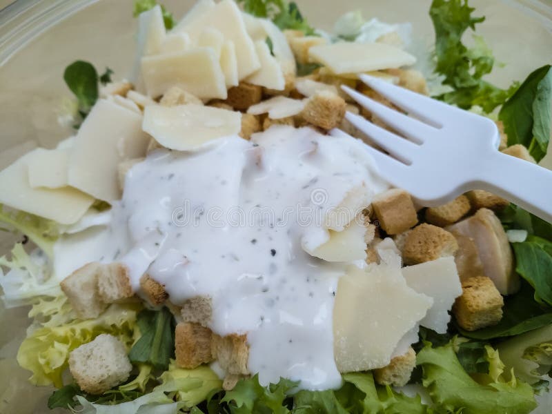 on-board salad with white plastic fork, prepared food, current l