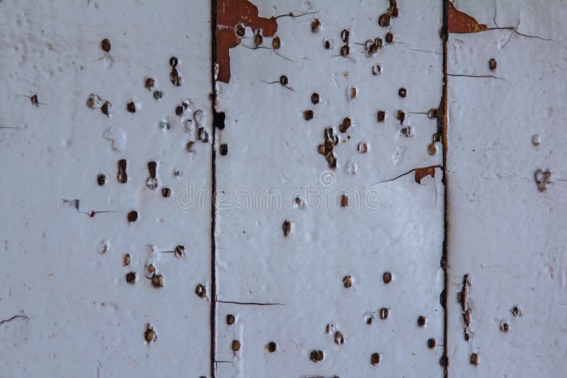 Boards Under Flaky Paint and Traces of Termites Stock Photo Image of