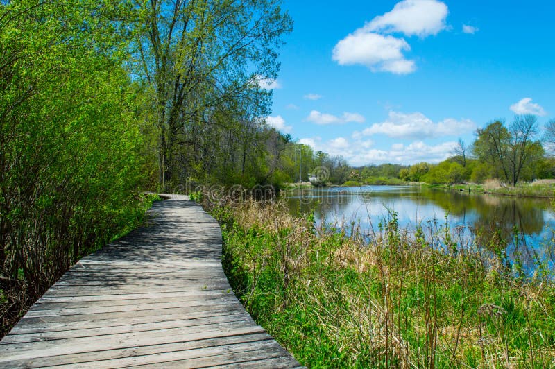 Boardwalk along the river. stock image. Image of hiking 40950211