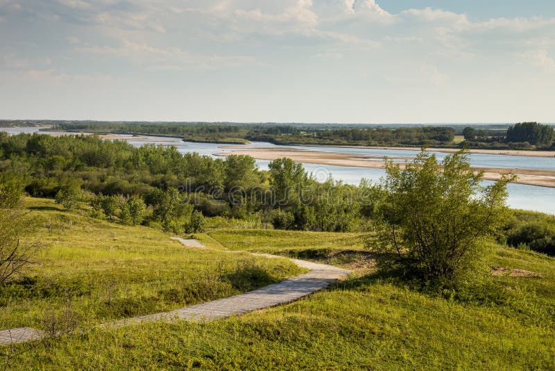Boardwalk at Cranberry Flats Stock Image Image of grass, trail 97919795