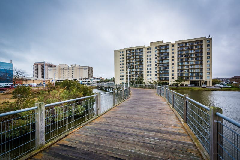 Boardwalk Over Lake Holly, in Virginia Beach, Virginia. Editorial Stock Photo Image of clouds