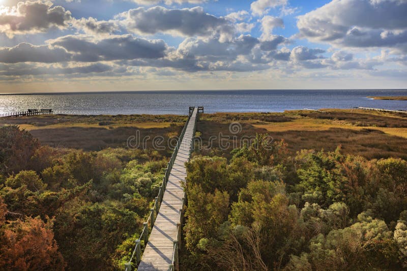 Boardwalk Pamlico dźwięka jesieni salwy Pólnocna Karolina Zewnętrzni banki fotografia stock Boardwalk Pamlico dźwięka jesieni salwy Pólnocna Karolina Zewnętrzni banki fotografia stock