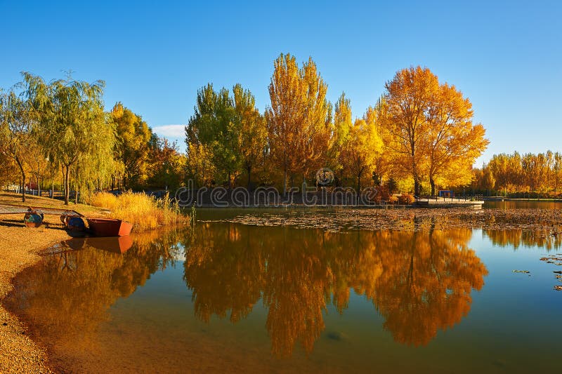 The boat and autumnal trees lakeside