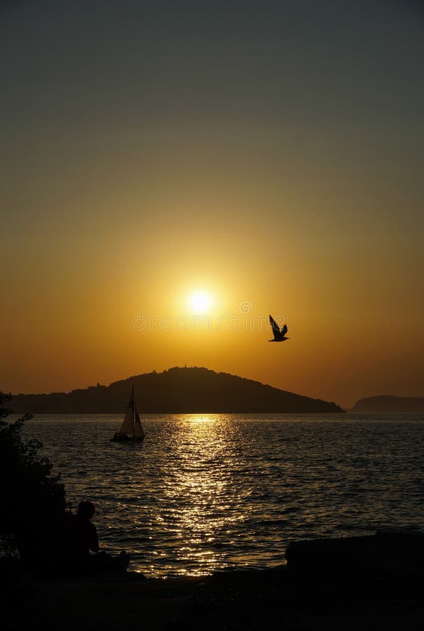 A boat and a bird at sunset stock image