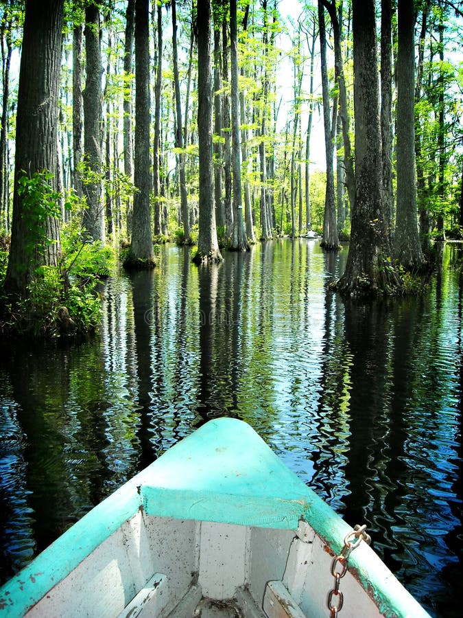 Boat On Cypress Swamp Gardens North Carolina Stock Photo ...