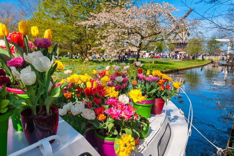 Boat with Flower Pots at Keukenhof Gardens Netherlands