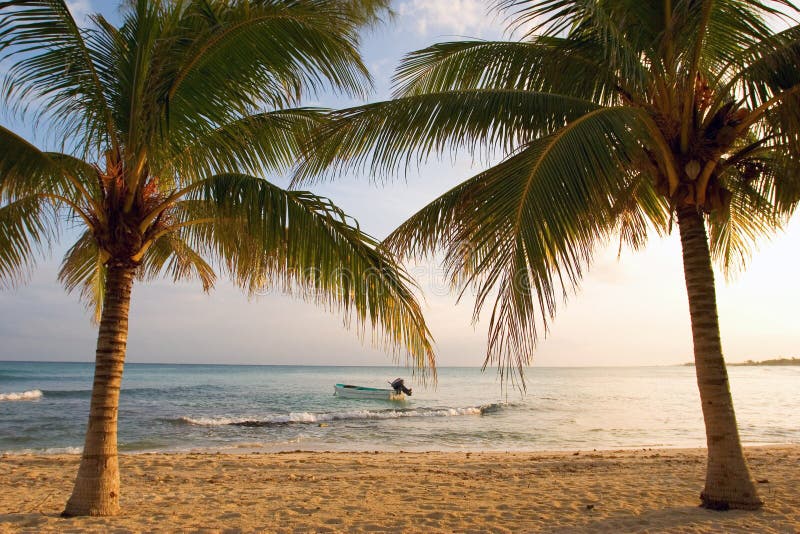 Boat and Palm Trees at Sunset. A small boat with palm trees on a beach at sunset Boat and Palm Trees at Sunset. A small boat with palm trees on a beach at sunset