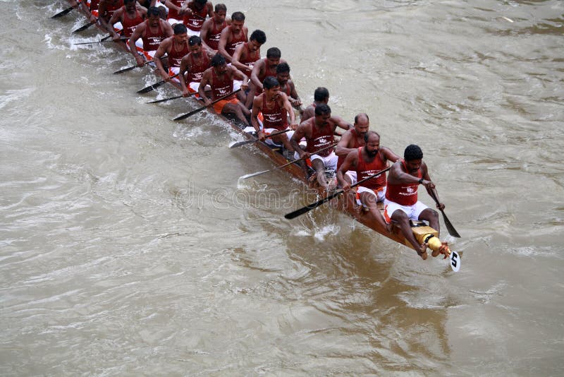 Oarsmen in a snake boat team row vigorously in the Kottayam Boat race , Kerala,India. Oarsmen in a snake boat team row vigorously in the Kottayam Boat race , Kerala,India.