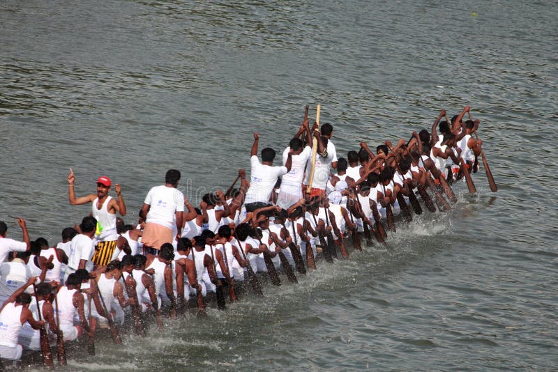Oarsmen of a snake boat team row aggressively in the Pumba Boat race at Thiruvalla, Kerala, India. Oarsmen of a snake boat team row aggressively in the Pumba Boat race at Thiruvalla, Kerala, India.