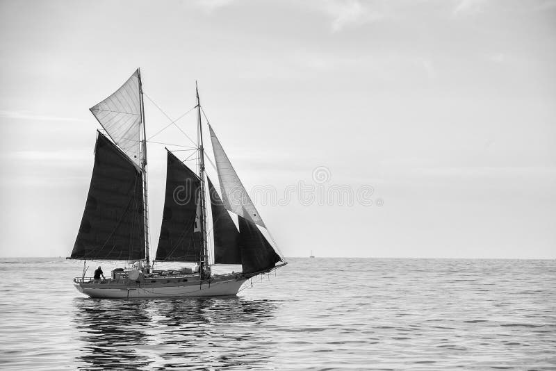 Boat Sailing in Black and White Editorial Image Image of nature