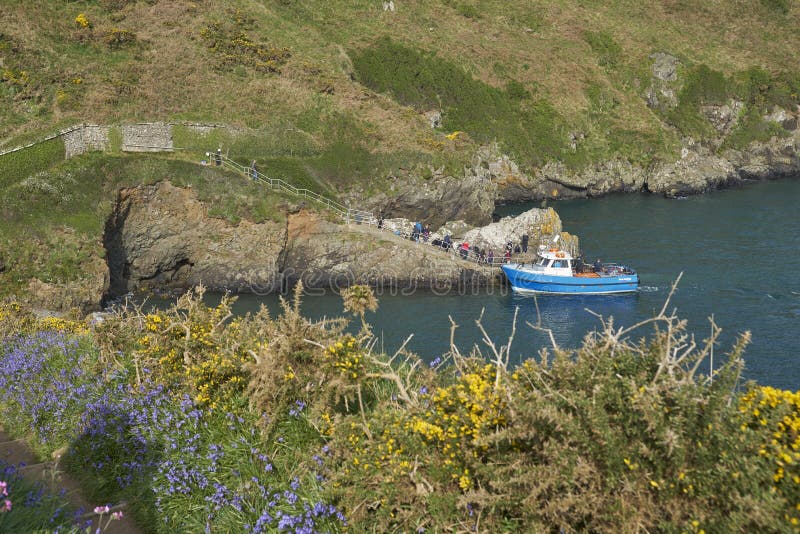 boat trips to skomer from tenby