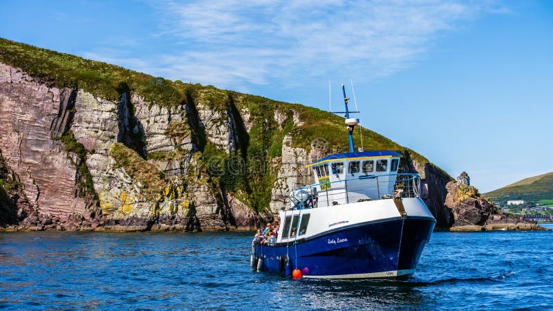 dingle fungi boat trip