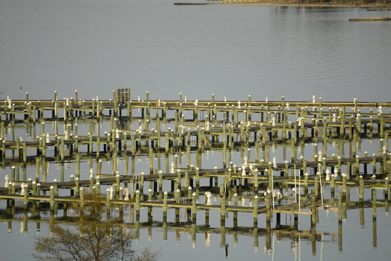 Boating slips stock photo. Image of shellfish, family 91143856