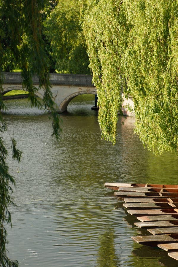 Boats royalty free stock images