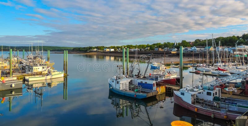 Boats in the harbour at low tide in Digby, Nova Scotia.