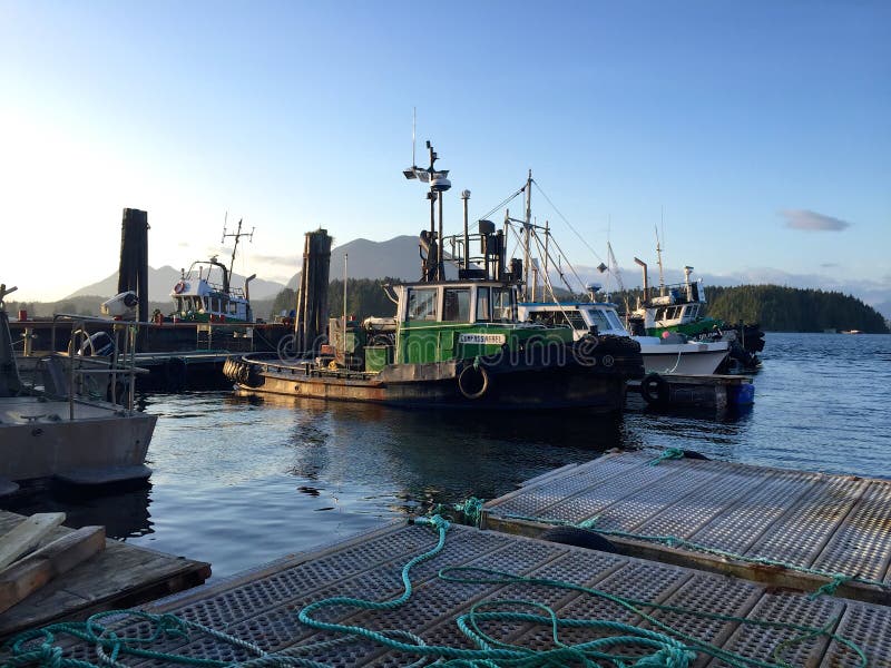 Boats in harbour in Tofino, Canada, on sunny summer evening