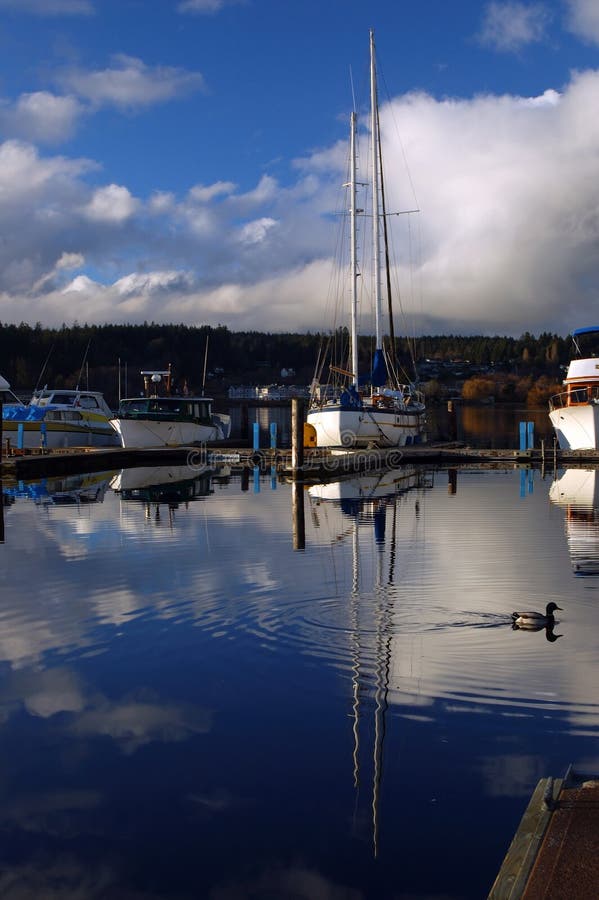 Boats in the marina