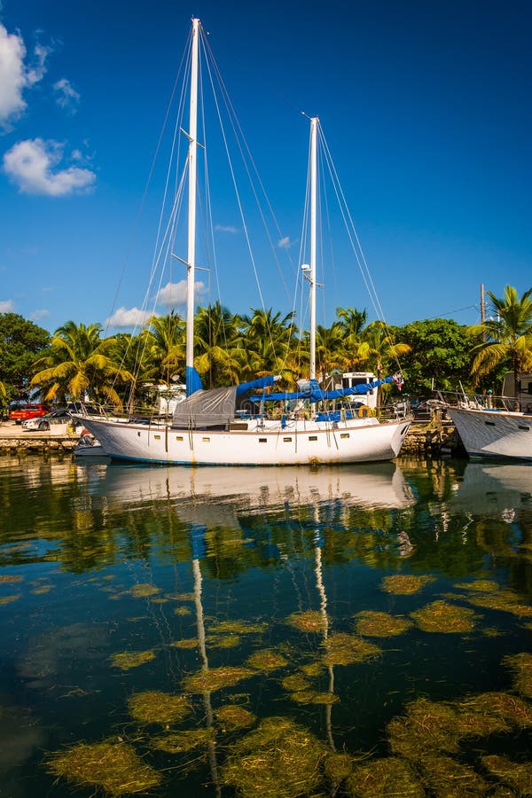 Boats at a marina in Marathon, Florida. stock photo Boats at a marina in Marathon, Florida. stock photo