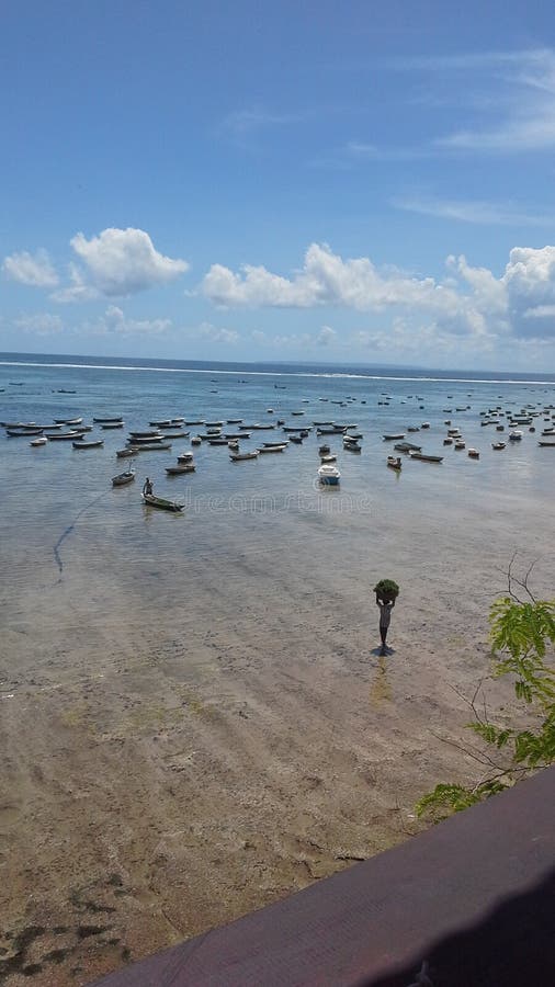 Lembongan Island Seaweed Farming