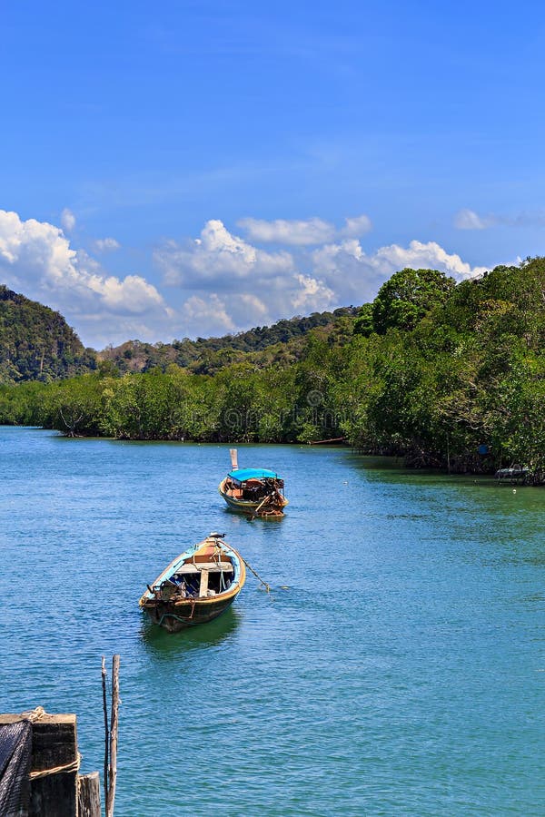 Mangrove and boats stock photo. Image of travel, river 18979894