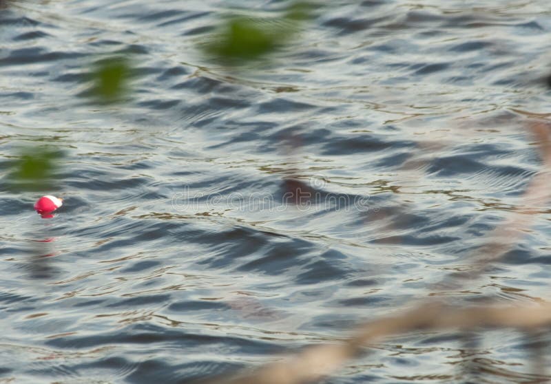 Bobber da pesca na água áspera imagens de stock Bobber da pesca na água áspera imagens de stock