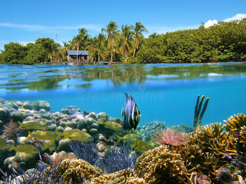 Bocas Del Seascape Toro