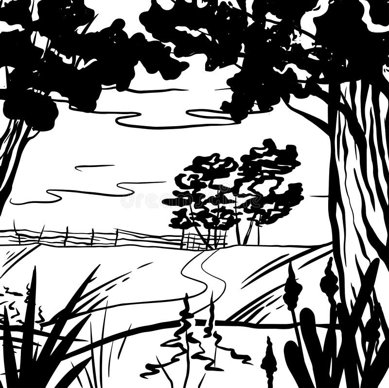 Boceto Natural De Un Prado Con Una Valla Y árboles. Tranquilo Paisaje  Rural. Elemento De Entrada De Lápiz Vectorial Ilustración del Vector -  Ilustración de cerca, cuadro: 194572070