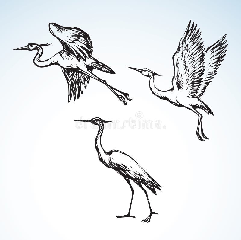 bocian rysuje tła trawy kwiecistego wektora ilustracja wektor bocian rysuje tła trawy kwiecistego wektora ilustracja wektor