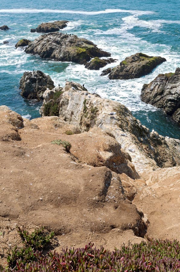 Bodega Head Coastal Ridge and Tide. Bodega head cliffs and rock outcropping along pacific coast of sonoma coast state park in california royalty free stock image Bodega Head Coastal Ridge and Tide. Bodega head cliffs and rock outcropping along pacific coast of sonoma coast state park in california royalty free stock image