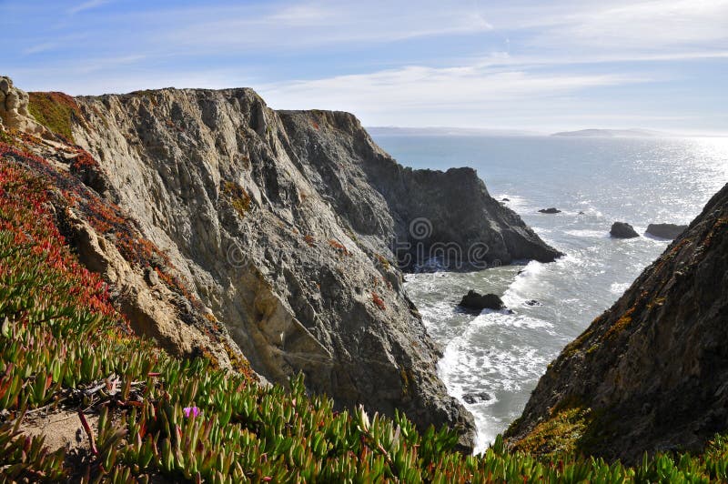 Bodega Head