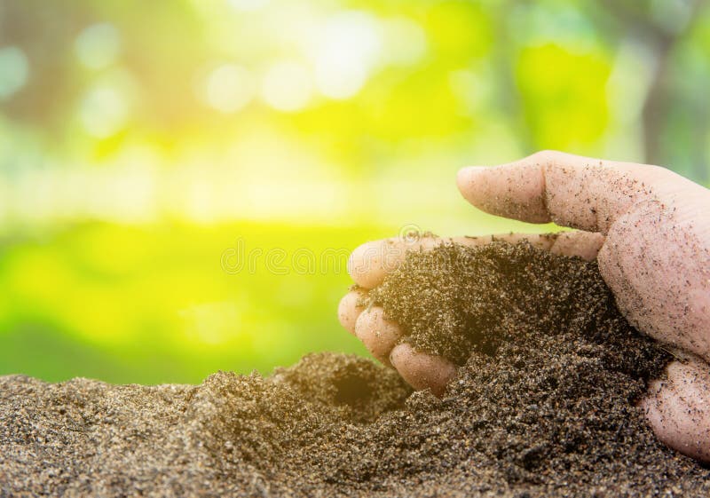 Boden in der Hand mit Biogarten - Landwirtschaft