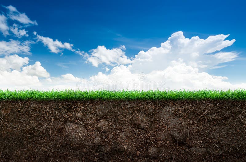 Boden und Gras im blauen Himmel stockfotos Boden und Gras im blauen Himmel stockfotos