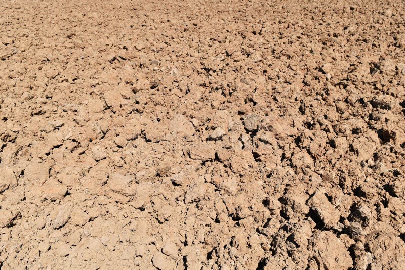 Bodenklumpen auf dem Reisgebiet vor Betriebsreis lizenzfreie stockfotos Bodenklumpen auf dem Reisgebiet vor Betriebsreis lizenzfreie stockfotos