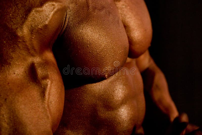 Back of Bodybuilder at Open Cup of Bodybuilding Editorial Stock Image -  Image of fitness, back: 22736024