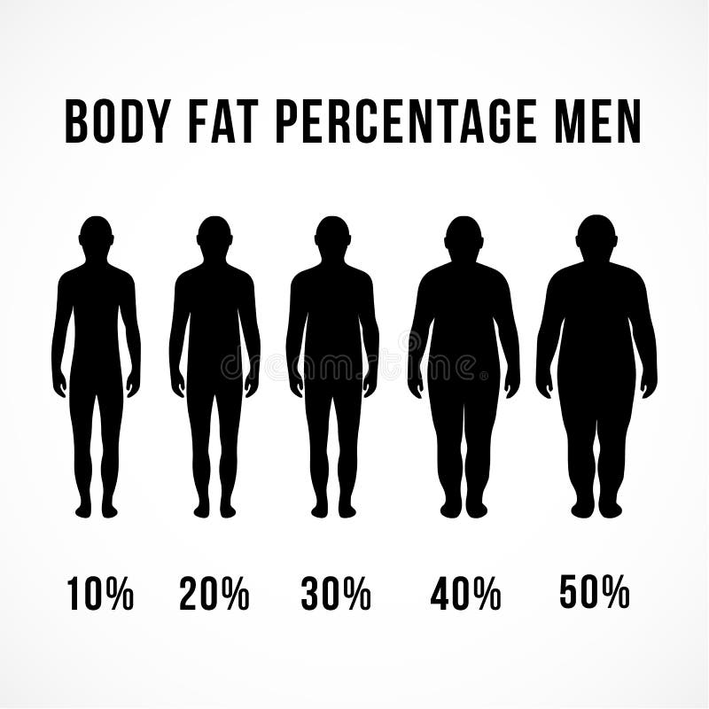 Body fat percentage meter device line icon Vector Image