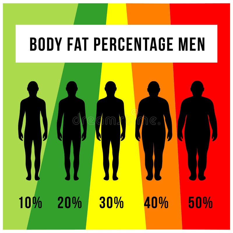 Body fat percentage meter device line icon Vector Image