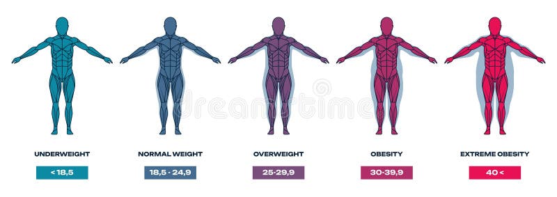 Bmi Index Scale Classification Body Mass Index Chart Information Concept  Stock Vector by ©coolvectormaker 367434166