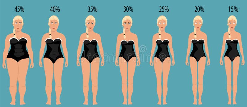 Female Body with Different Weight Stock Vector - Illustration of medical,  poster: 183445457