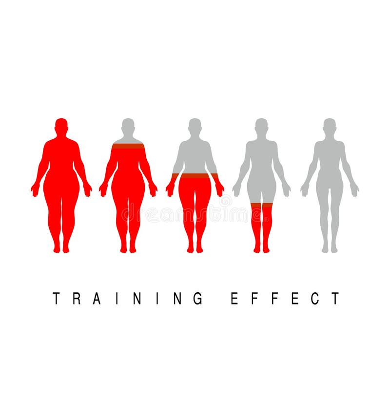 https://thumbs.dreamstime.com/b/body-mass-index-woman-silhouettes-different-obesity-degrees-weight-loss-concept-medical-infographics-female-weight-scale-237382456.jpg