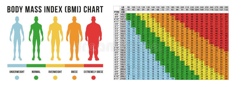 Body Masse index chart, vector illustration