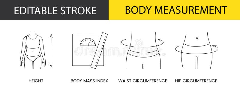 Body Measurement Line Icon Set in Vector, Illustration of Height and ...