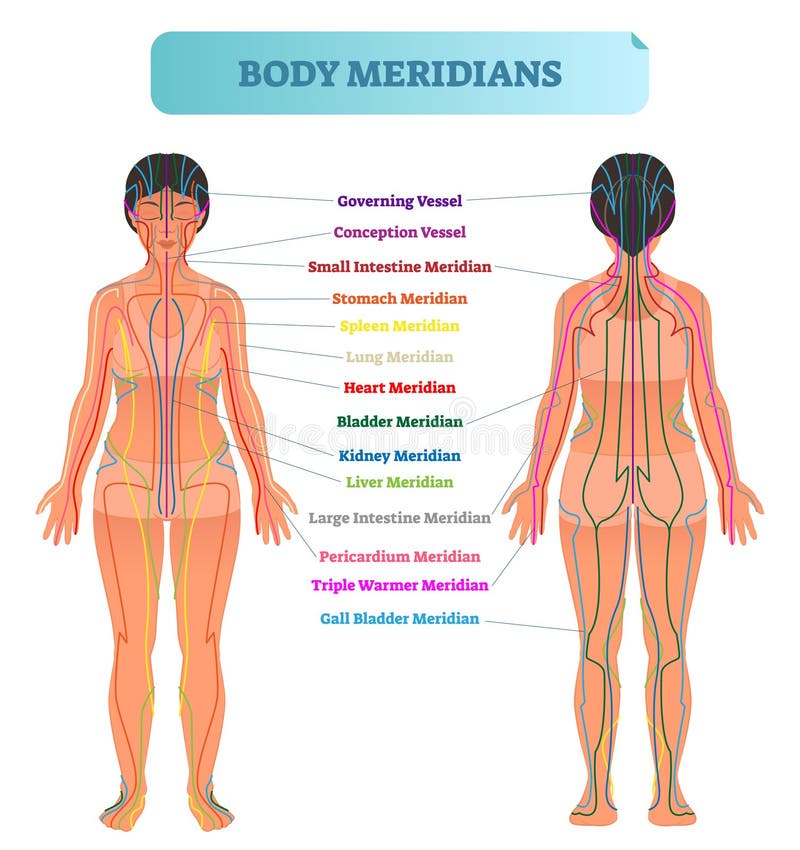 Gallbladder Meridian Chart