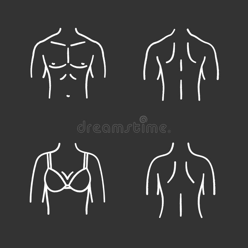 Woman's Body Naked Breast Stock Illustrations – 18 Woman's Body