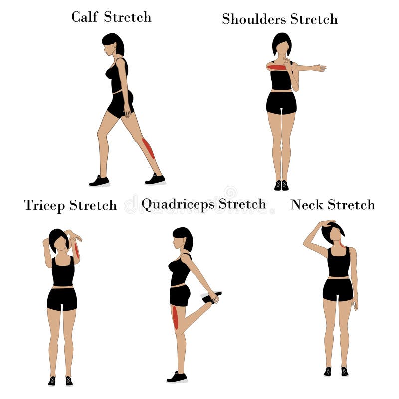 Woman doing shoulder stretch exercise Royalty Free Vector