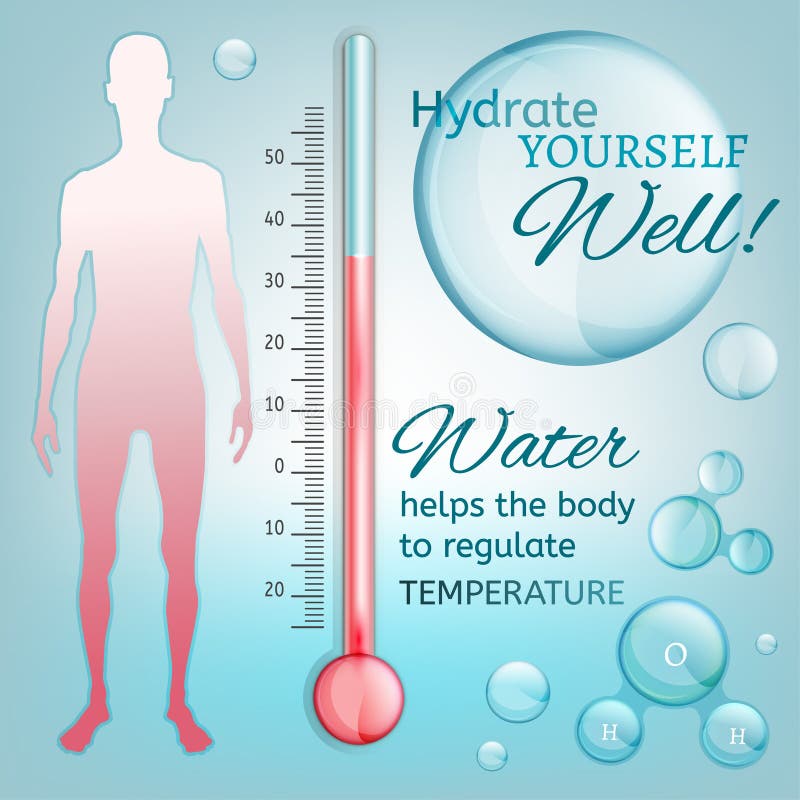 https://thumbs.dreamstime.com/b/body-temperature-hydrate-yourself-well-vector-illustration-bio-infographics-human-regulation-scheme-transparent-style-60019780.jpg