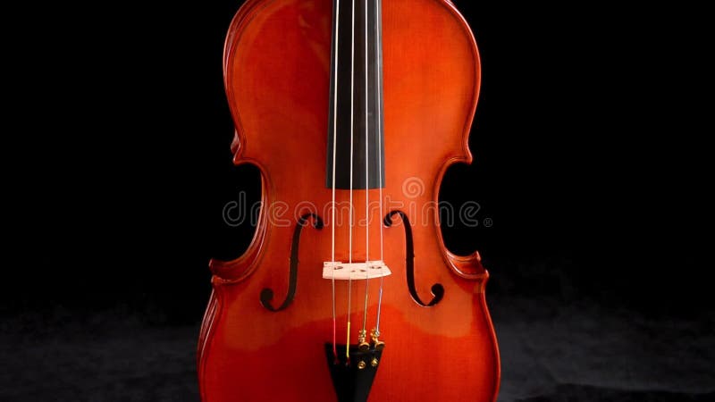 Body of violin or viola music instrument turning at black background