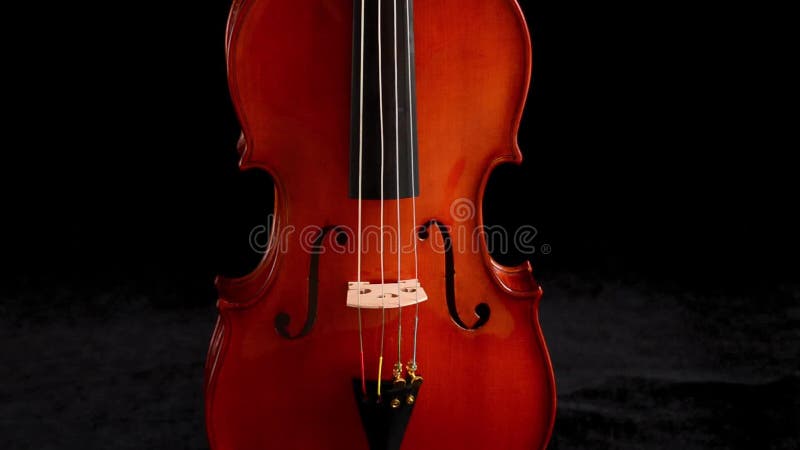 Body of a violin or viola turning at black background